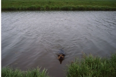 Amtsausscheid 2004
