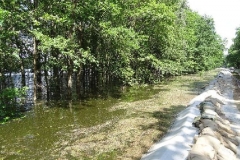 2013HW01 perleberger+str.+24+10.06