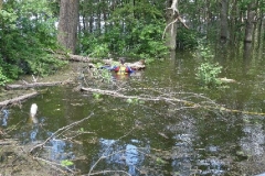 2013HW02 perleberger+str.+deichsicherungsmanahmen+mit+tauchern+02+10.06