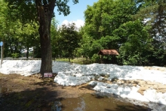 2013HW04 perleberger+str.+ecke+weisener+weg+02+10.06