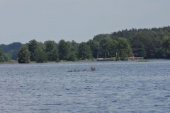 2013HW04 perleberger+str.+richtung+perleberg+01+10.06