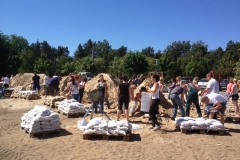 2013HW05 waldschule+03+06.06