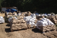 2013HW05 waldschule+04+06.06