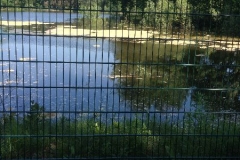 2013HW06 sportplatz+02+08.06