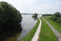 2013HW08 wittenberge+01+13.06