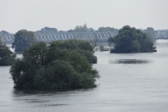 2013HW08 wittenberge+04+13.06