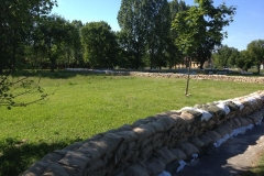 2013HW09 wittenberger+str.+03+06.06