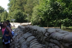 2013HW09 wittenberger+str.+07+08.06