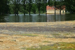 2013HW09 wittenberger+str.+12+10.06