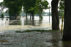 2013HW10 aw+02+12.06