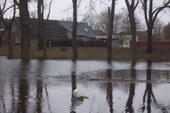 hochwasser_2011_23