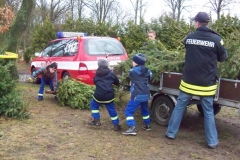 Weihnachtsbäume 2013