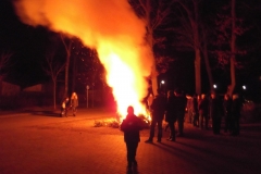 Weihnachtsbäume 2013