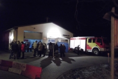 Weihnachtsbäume 2013