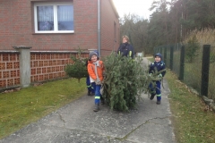 Der Baum vom Bürgermeister