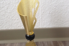 Pokal